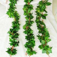 uploads/erp/collection/images/Home Garden/CongDing/XU0610582/img_b/XU0610582_img_b_1